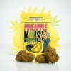 Extracta - Pineapple Kush - 5g